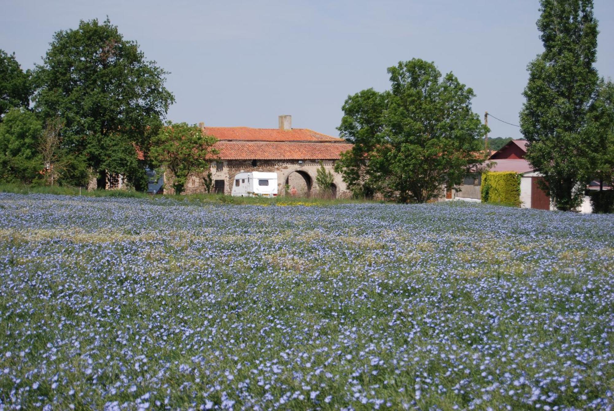 Chambre d'hôte Manoir de La Baudonnière Monsireigne Esterno foto