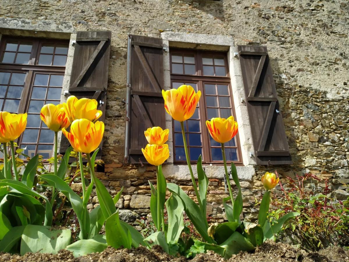 Chambre d'hôte Manoir de La Baudonnière Monsireigne Esterno foto